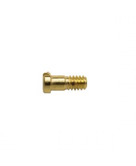 Tornillo, cierre aro, dorado, 1.2 mm 50 Un.