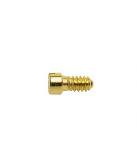 Tornillo, cierre aro, dorado, 1.4 mm 50 Un.