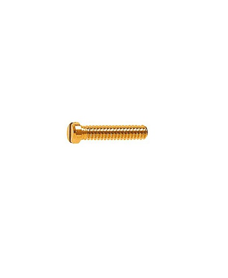 Tornillo, cierre aro, dorado, 1.4 mm 50 Un.